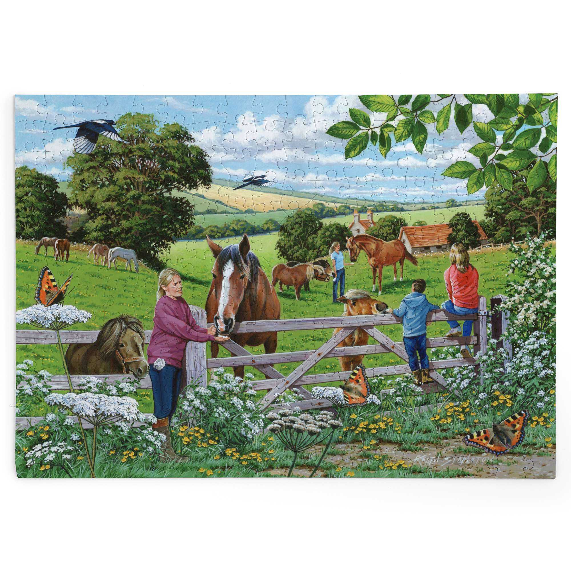 house-of-puzzles-sugar-lumps-puzzle-big-250-ferme image 2