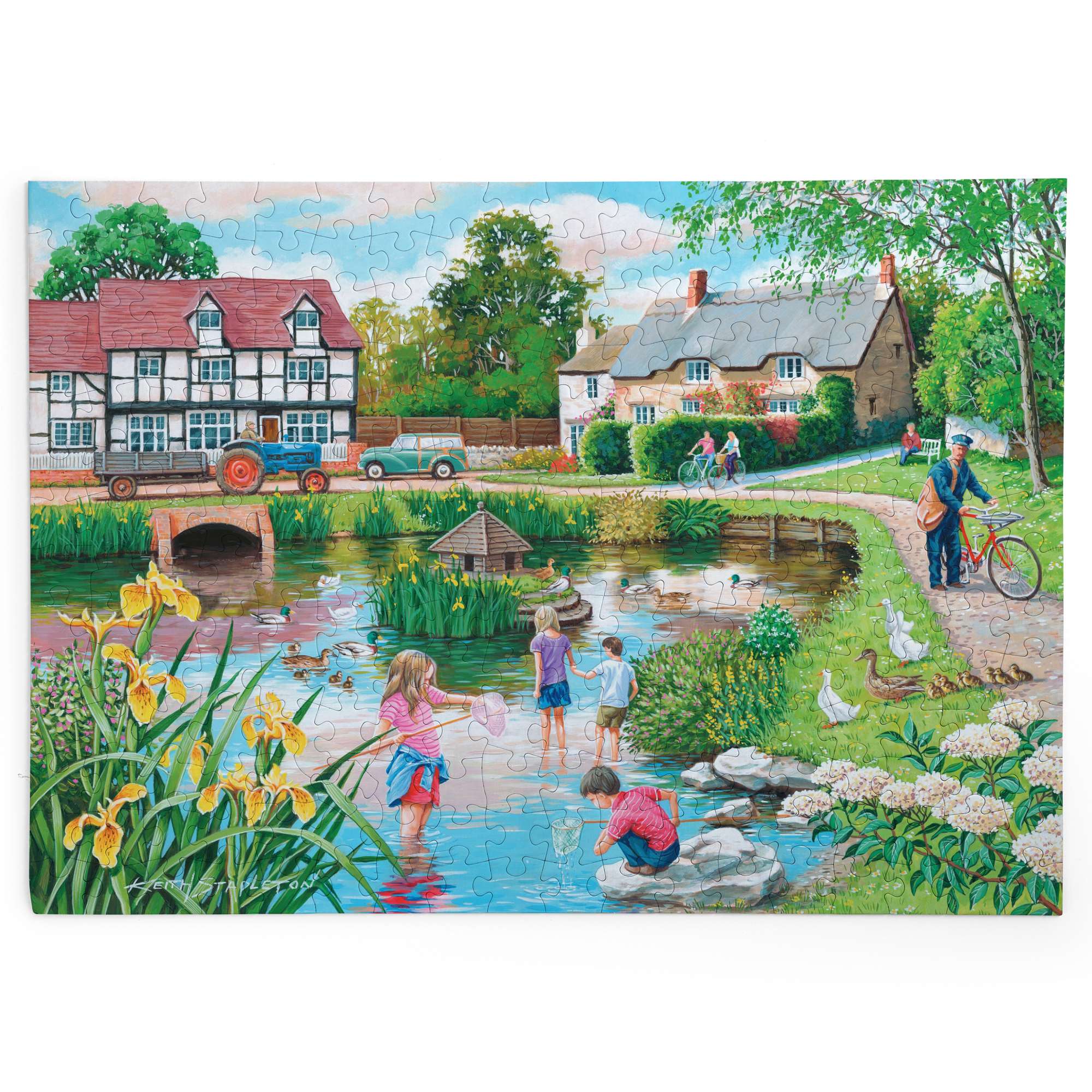 house-of-puzzles-duck-pond-puzzle-big-250-canards image 2