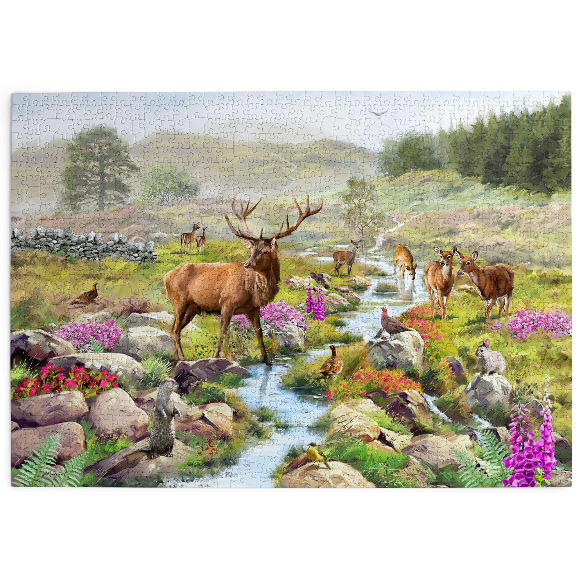 house-of-puzzles-highland-majesty-puzzle-1000-pi-ces-cerf-cosse image 2