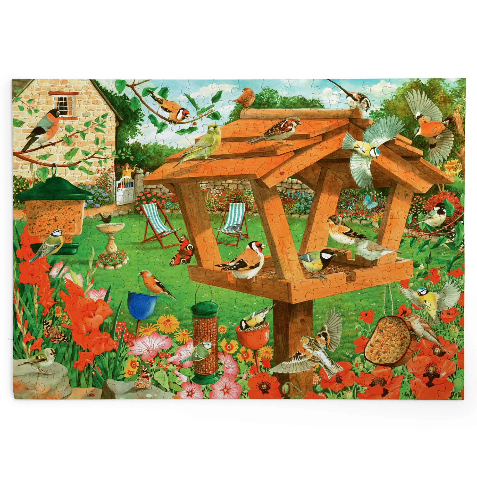 house-of-puzzles-strictly-birds-puzzle-big-250-oiseaux image 2