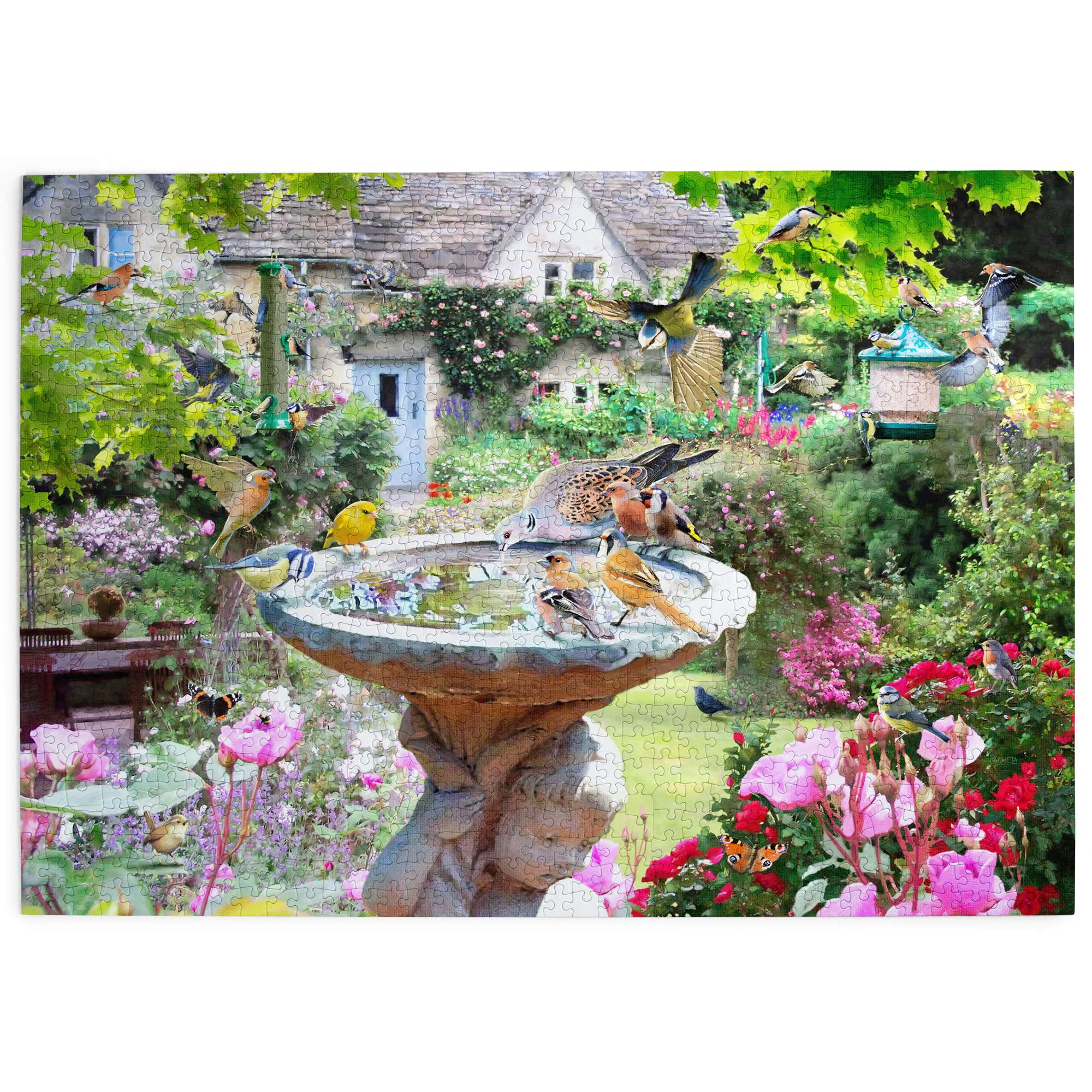 house-of-puzzles-summer-birds-puzzle-1000-pi-ces-oiseaux image 2