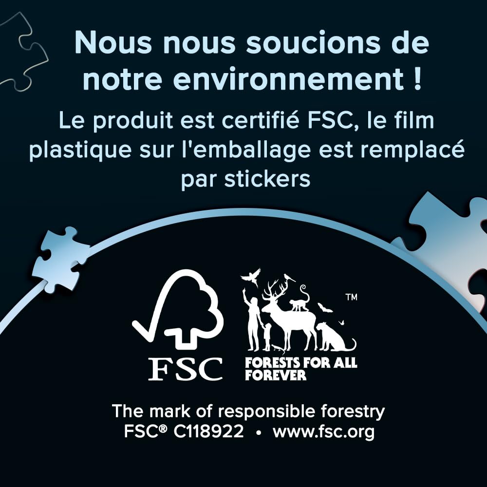 trefl-premium-plus-cendrillon-1000-pi-ces-puzzle-adulte image 8