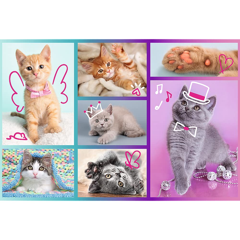 trefl-red-chatons-mignons-puzzle-60-pi-ces-chats image 2
