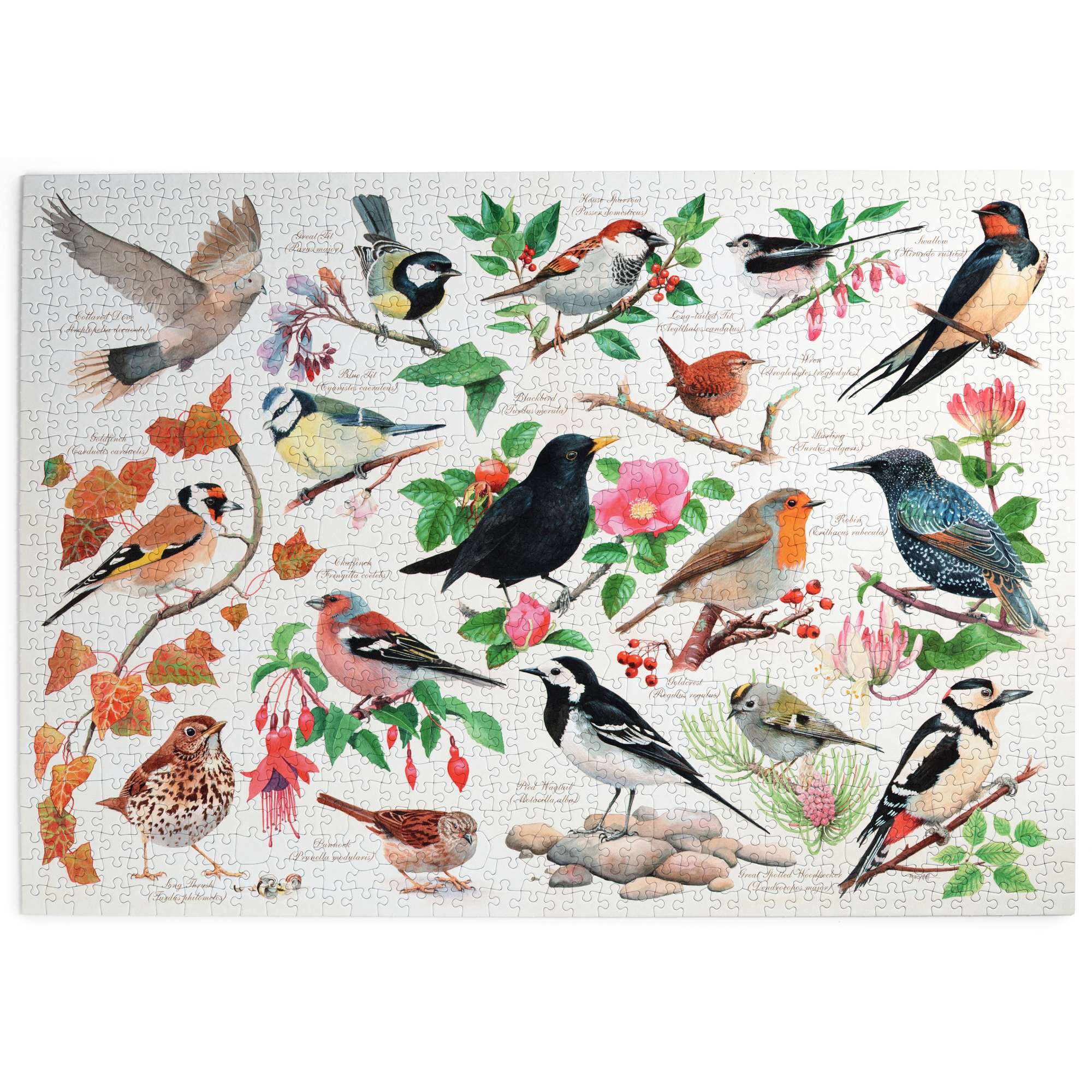 house-of-puzzles-1000-puzzle-birds-in-my-garden-1000-pcs image 2