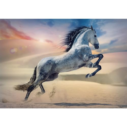 trefl-red-cheval-majestueux-puzzle-1000-pi-ces-cheval-d-sert image 8