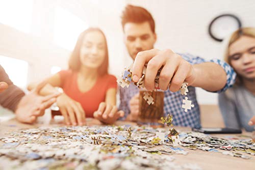 trefl-premium-plus-puzzle-1500-pieces-famille-dauphins image 8