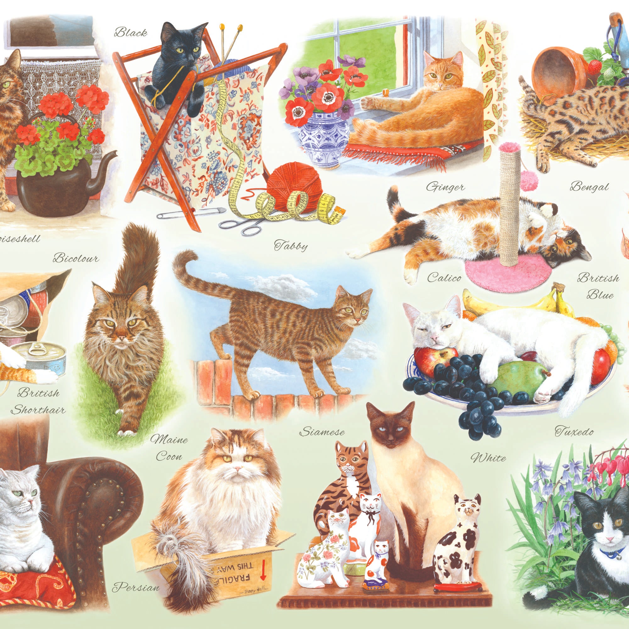 house-of-puzzles-a-clowder-of-cats-puzzle-big-500-pi-ces-chats image 3