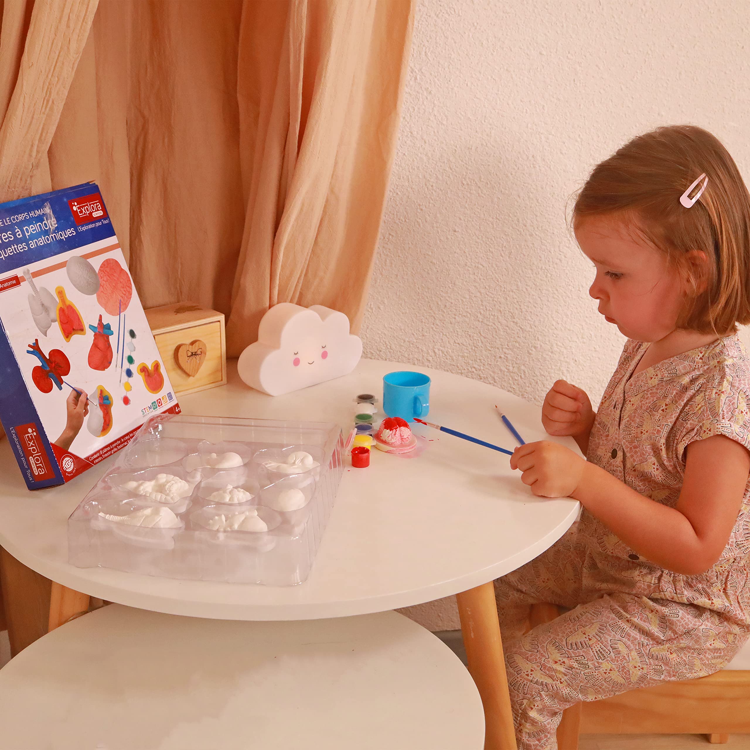 explora-organes-en-pl-tre-peindre-kit-8-pi-ces-anatomie-4-ans image 3