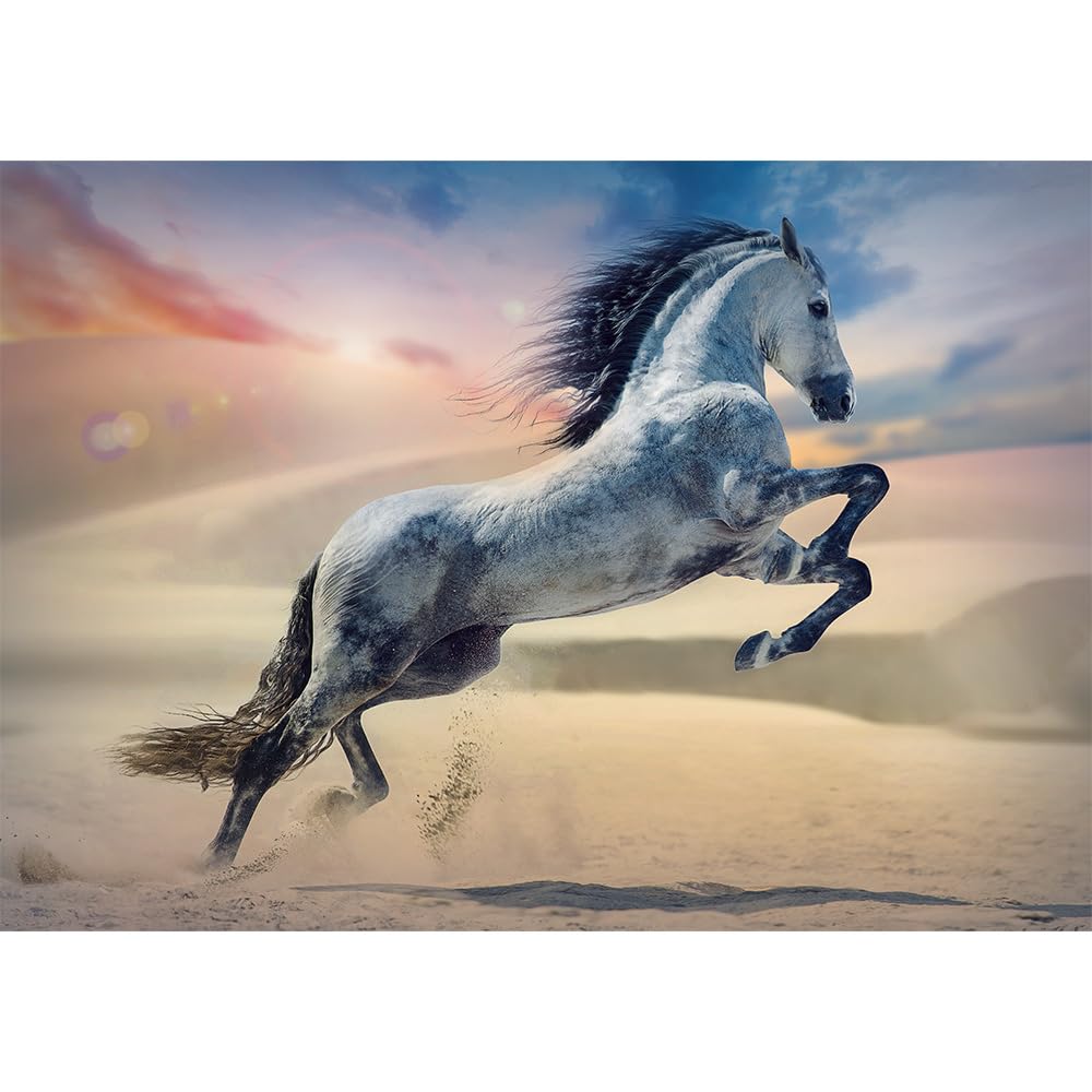 trefl-red-cheval-majestueux-puzzle-1000-pi-ces-cheval-d-sert image 2