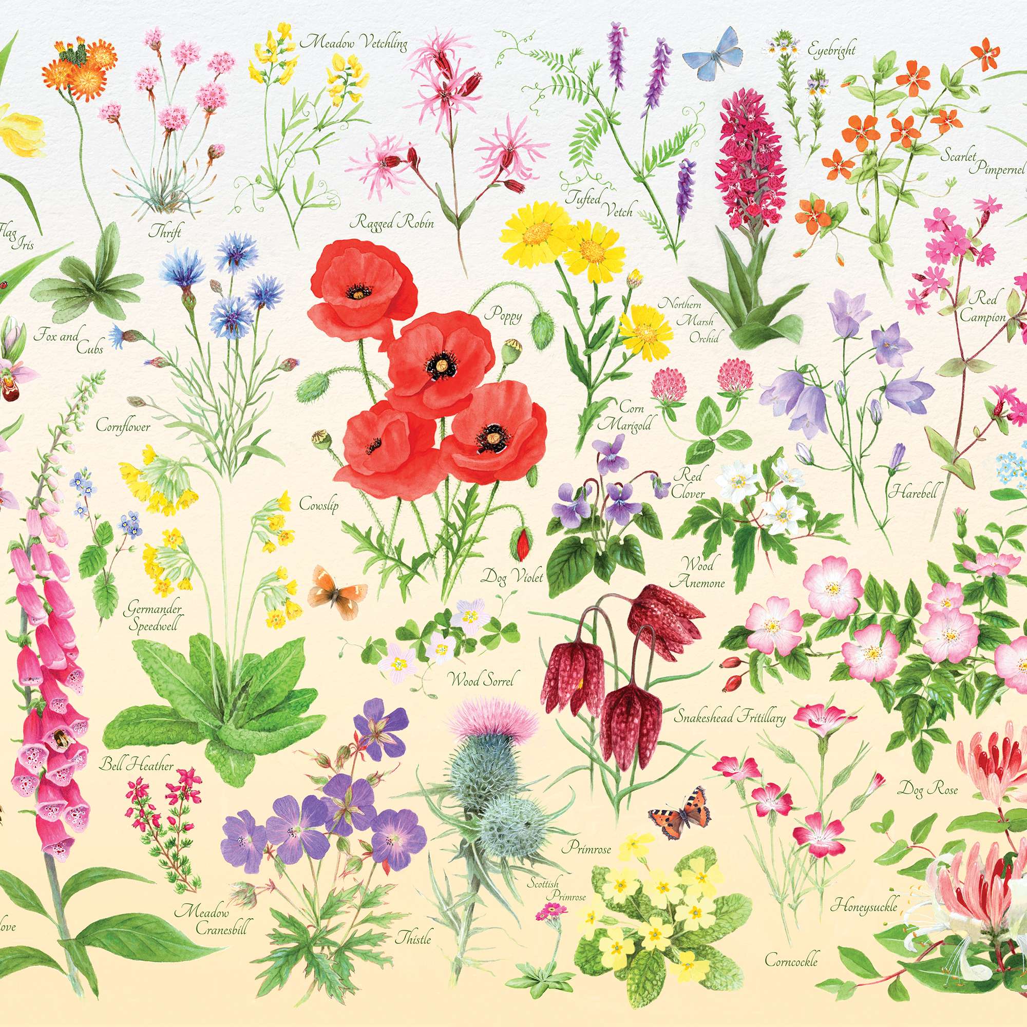 house-of-puzzles-wildflowers-mini-puzzle-150-tube-fleurs image 3