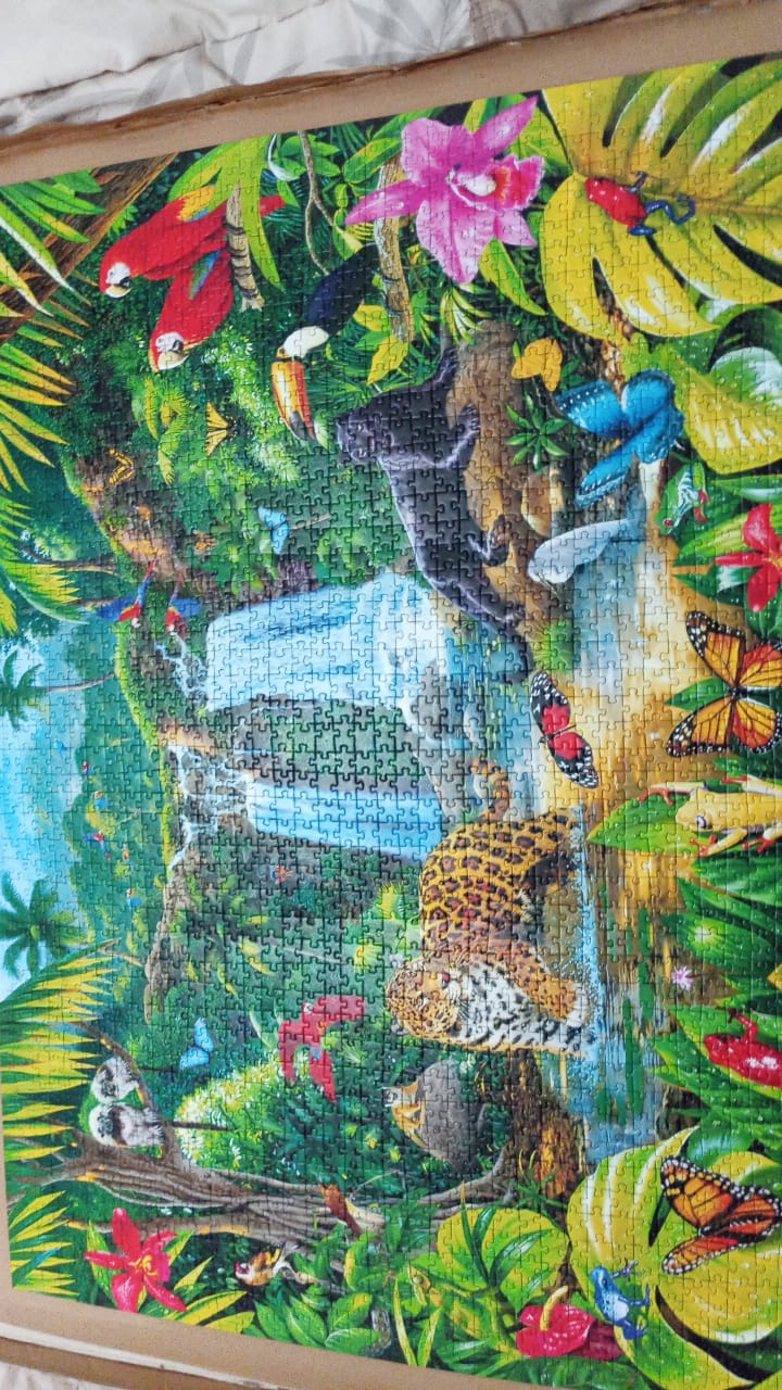 Jungle dense