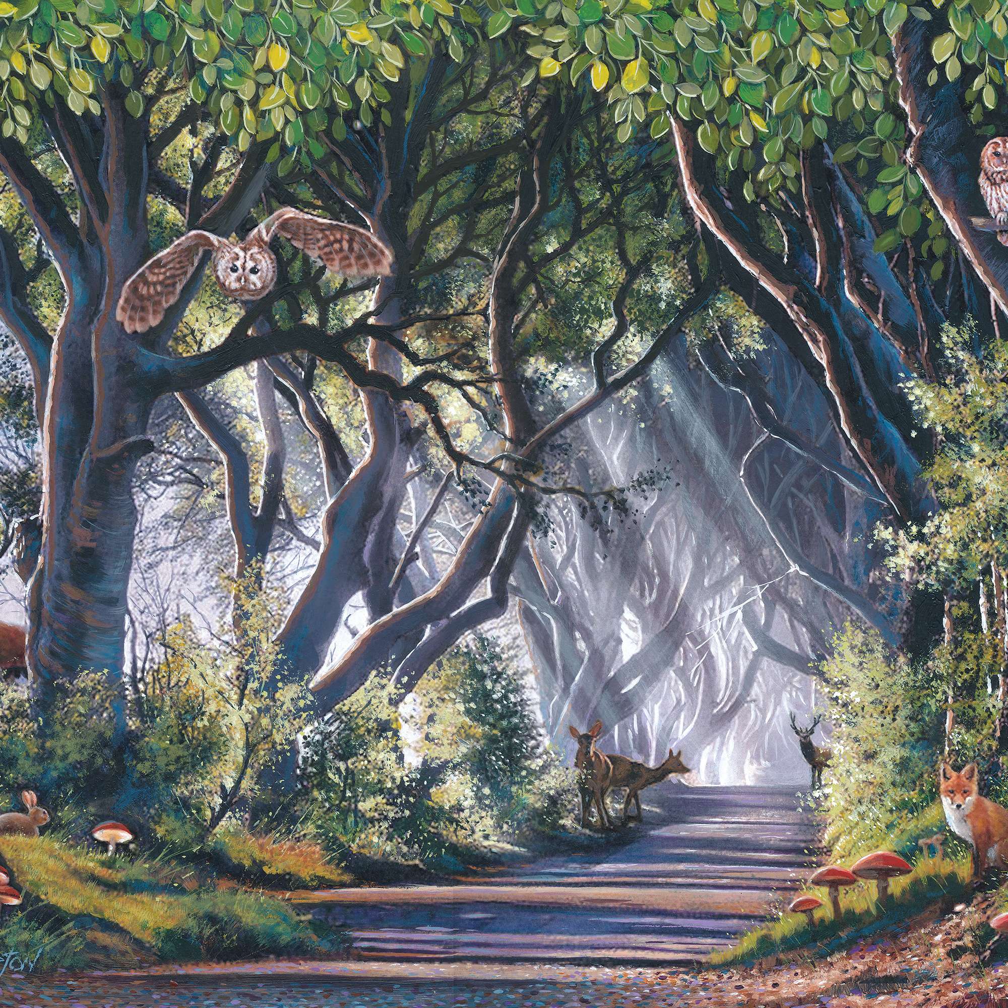 house-of-puzzles-500-puzzle-500-pi-ces-dark-hedges-nuit image 3