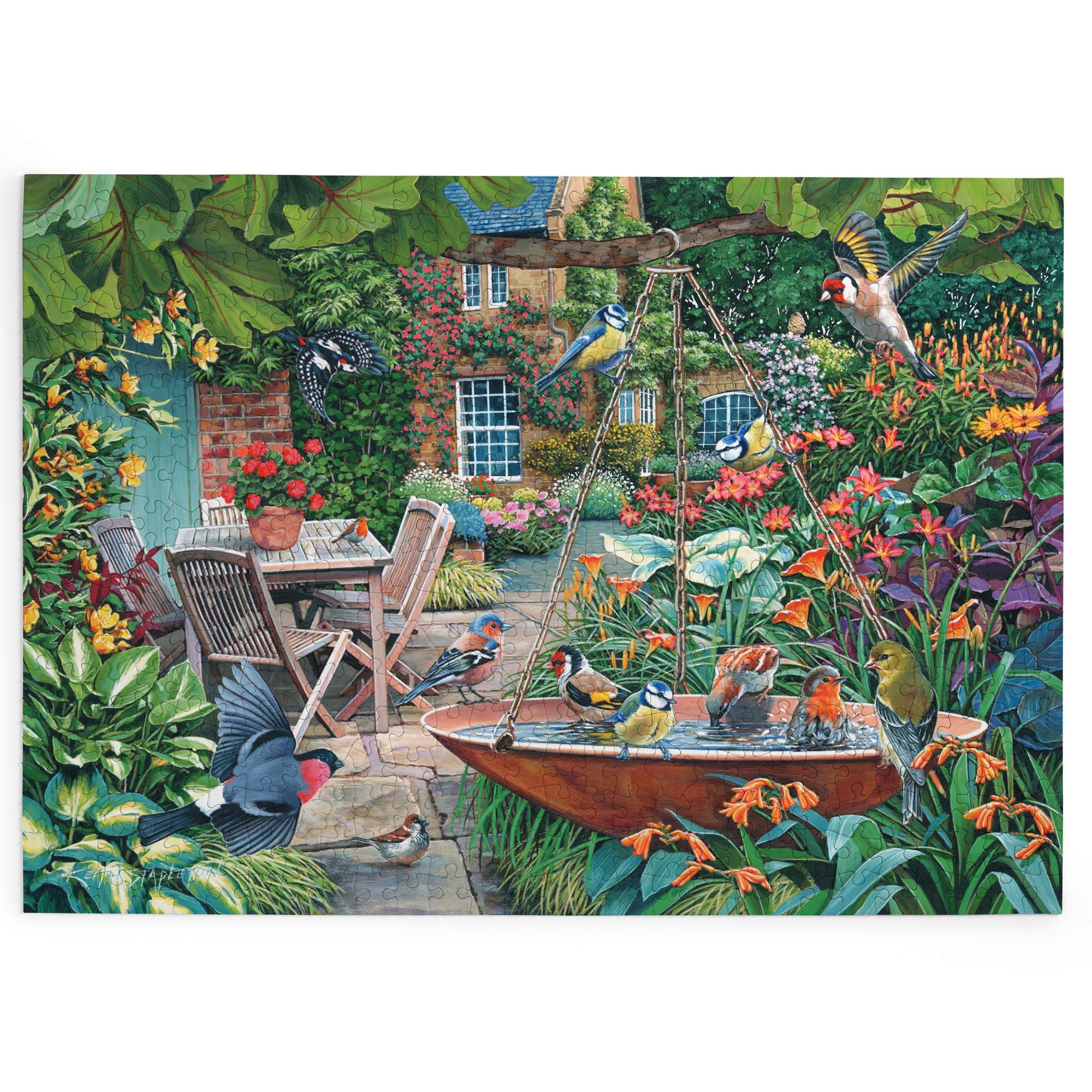 house-of-puzzles-splashing-around-puzzle-big-500-pi-ces-oiseaux image 2