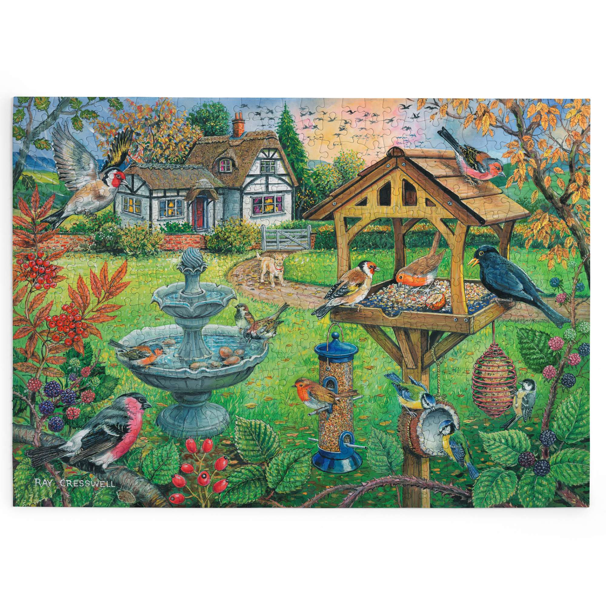 house-of-puzzles-bird-table-puzzle-500-pi-ces-jardin-oiseaux image 2