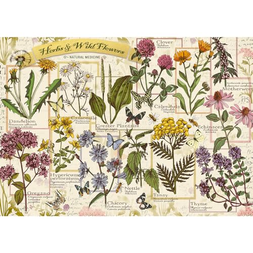 trefl-herbier-herbes-m-dicinales-puzzle-500-pi-ces-r-tro image 8