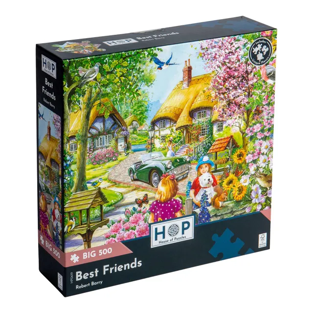 house-of-puzzles-best-friends-puzzle-big-500-t-chaumi-re image 1