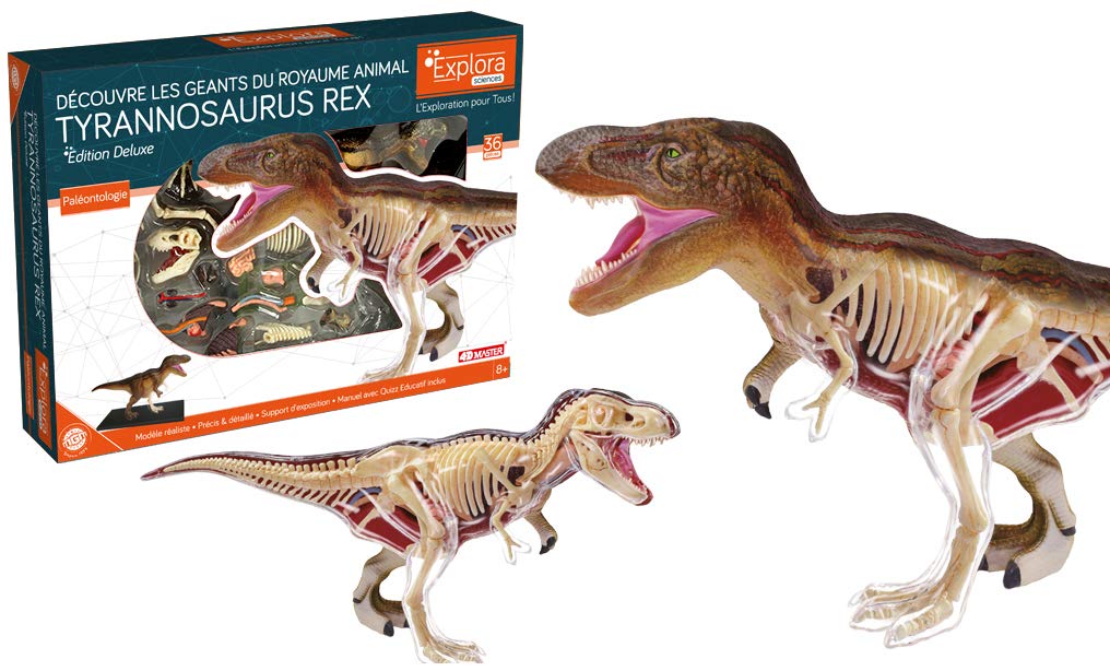 explora-kit-de-d-couverte-t-rex-maquette-36-pi-ces-tyrannosaure image 5