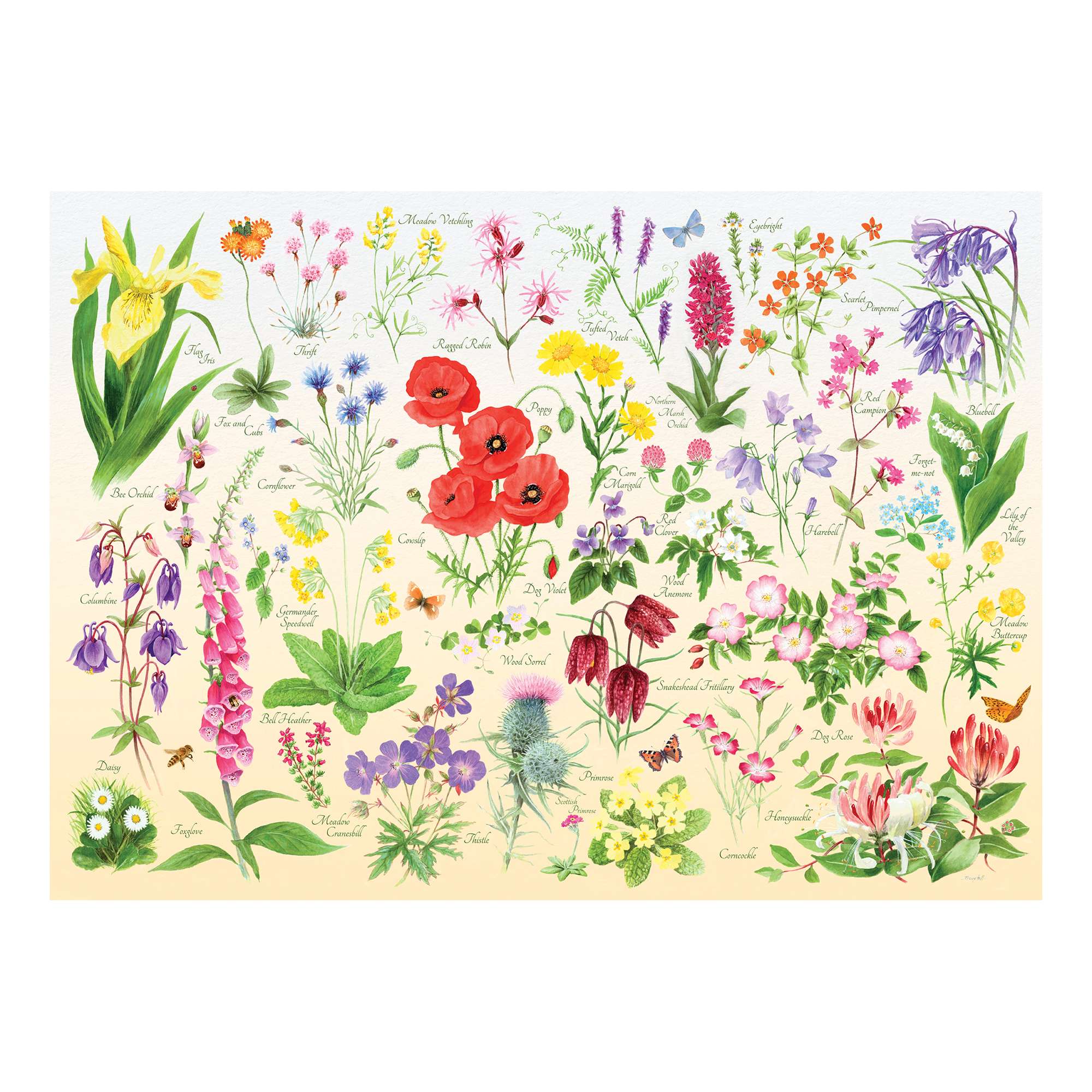house-of-puzzles-wildflowers-mini-puzzle-150-tube-fleurs image 2