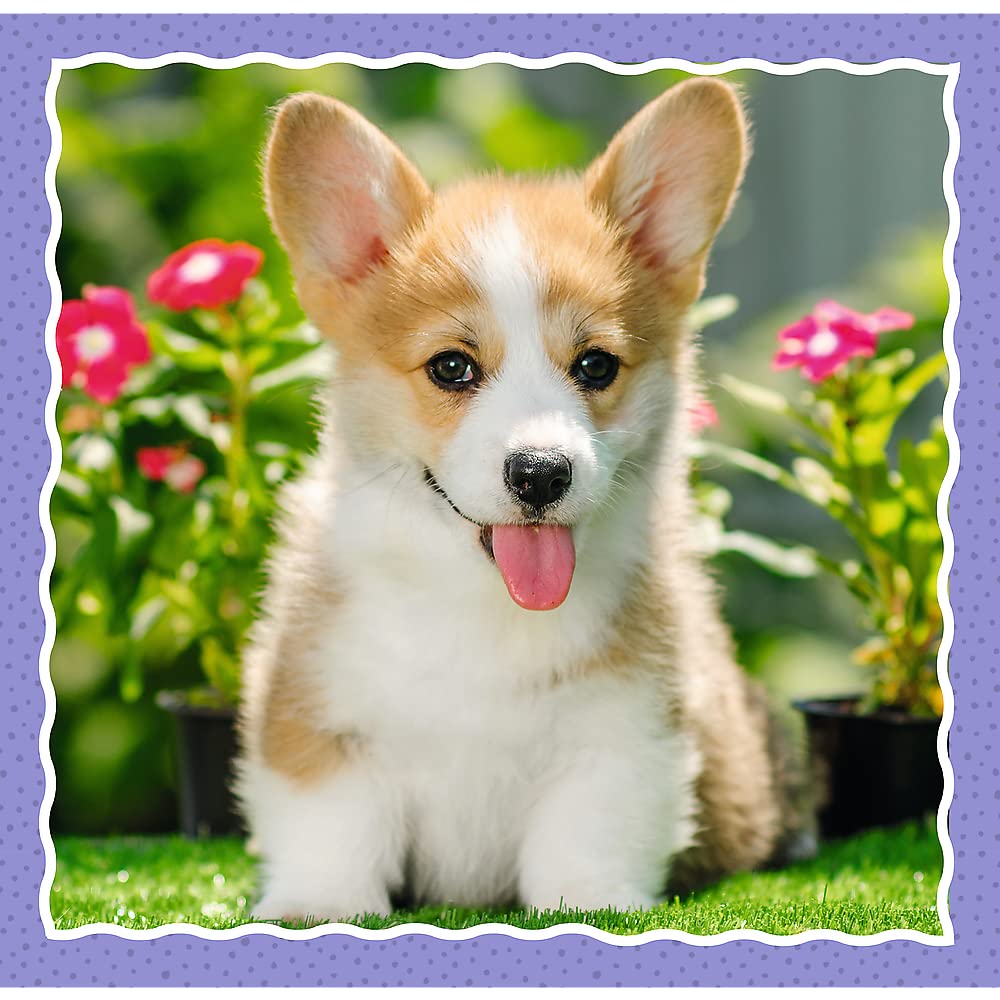 trefl-red-adorables-chiens-puzzle-3-en-1-20-50-pi-ces image 7