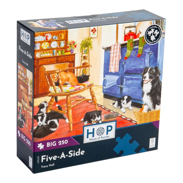 house-of-puzzles-five-a-side-puzzle-big-250-pi-ces-foot image 1