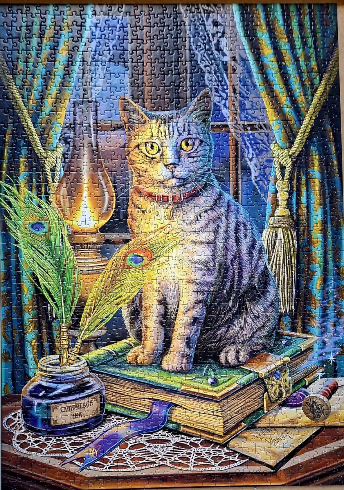 Chat superbe