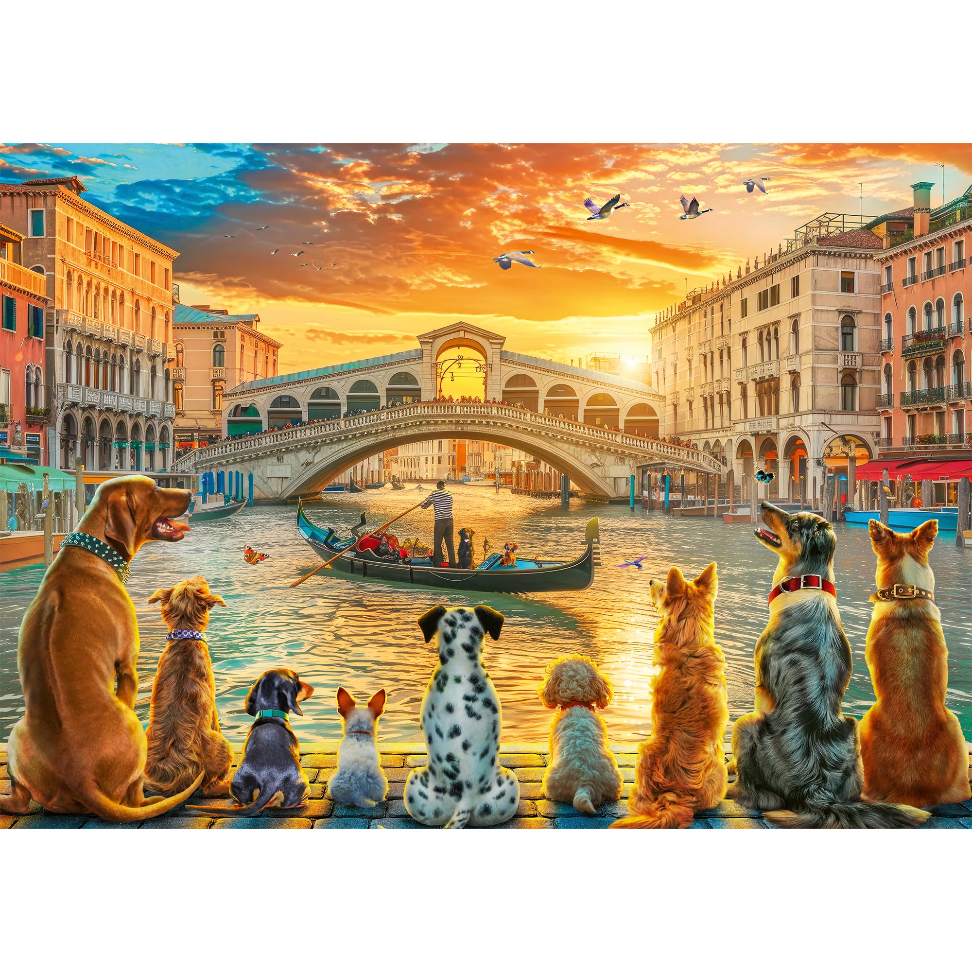 trefl-red-chiens-venise-puzzle-1000-pi-ces-coucher-soleil image 2