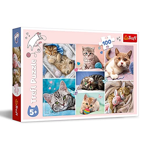 trefl-red-100-pi-ces-puzzle-enfant-monde-des-chats-5-ans image 7