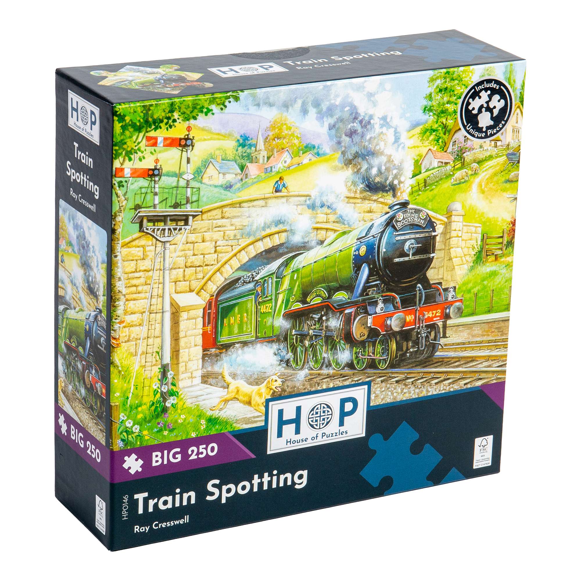 house-of-puzzles-train-spotting-big-250-puzzle-train-250-pi-ces image 1