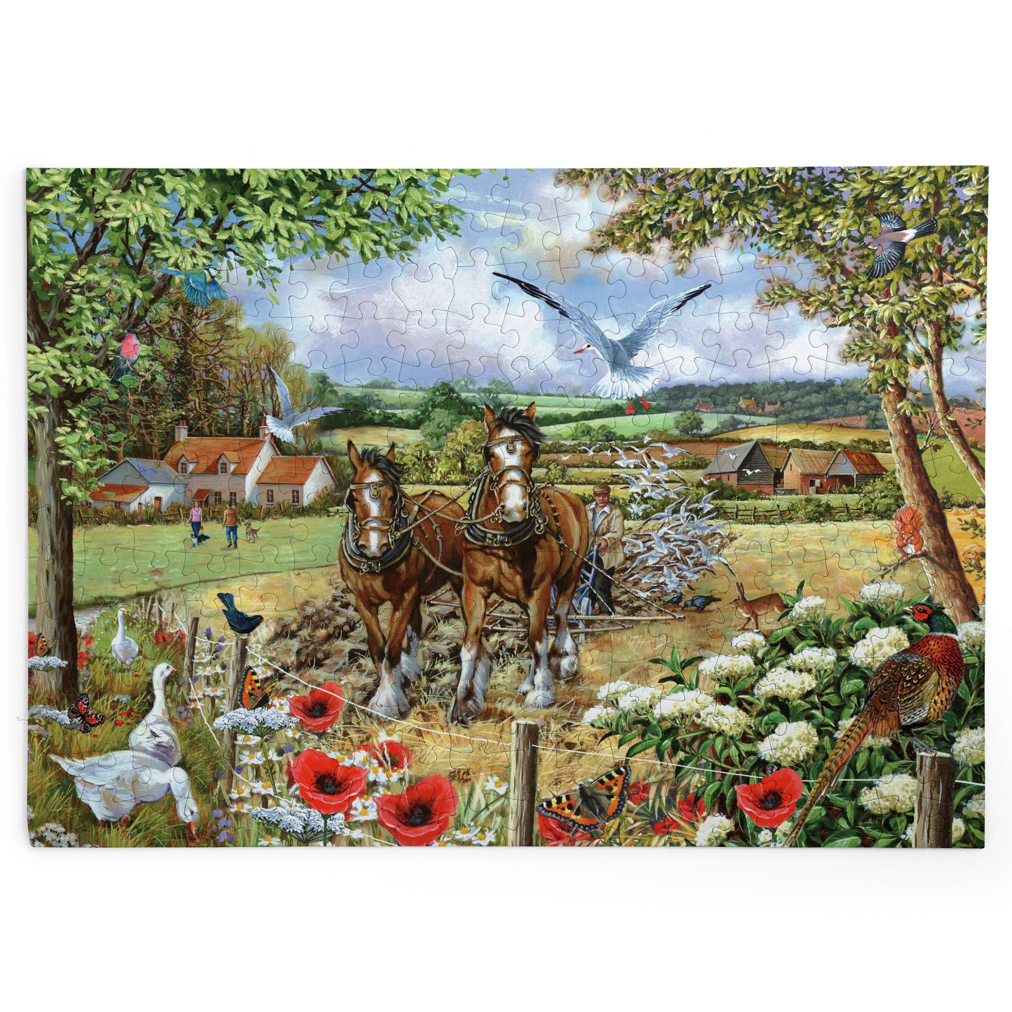 house-of-puzzles-big-250-bonnie-clyde-puzzle-250-pi-ces-ferme image 2