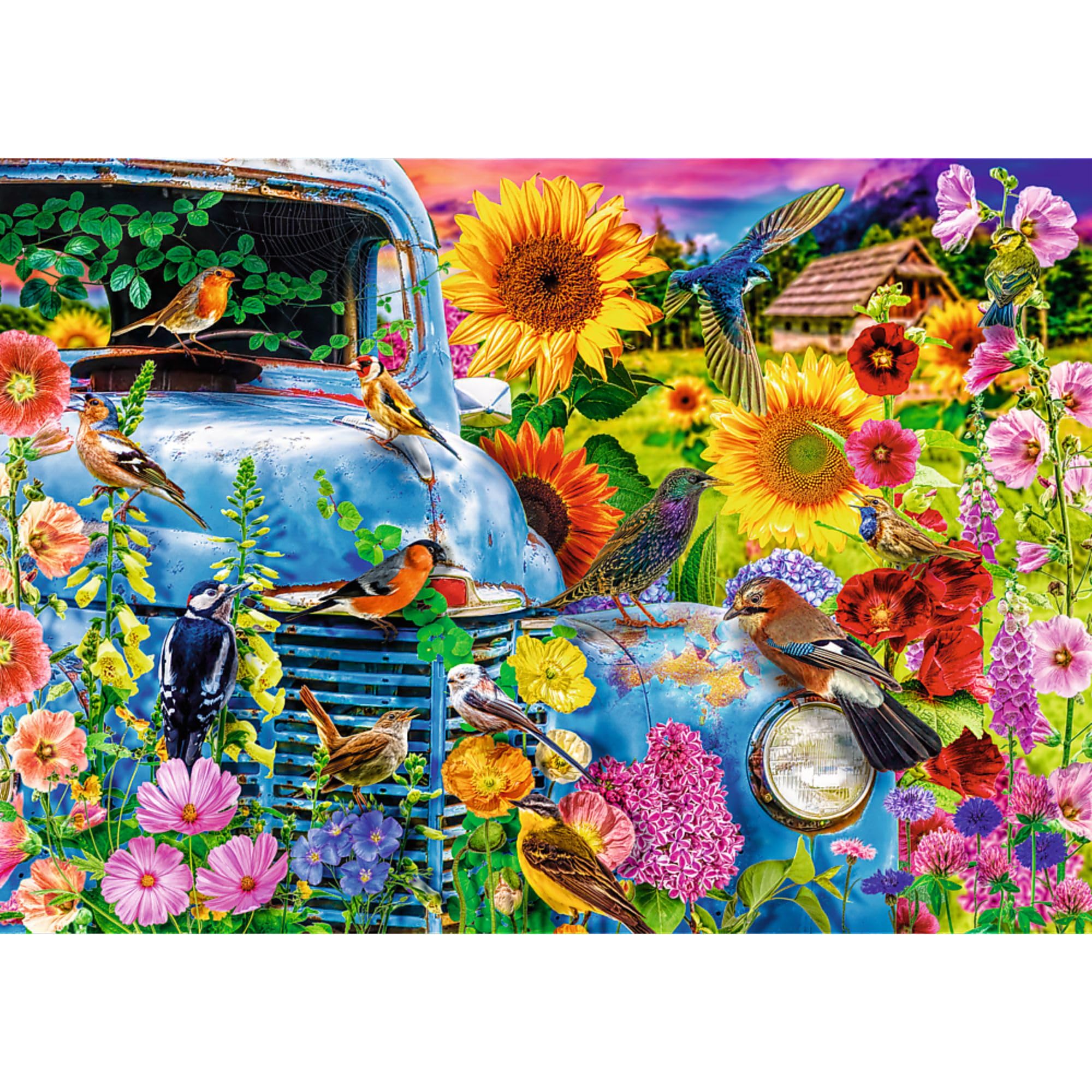 trefl-premium-plus-tea-time-puzzle-1000-pi-ces-oiseaux image 2