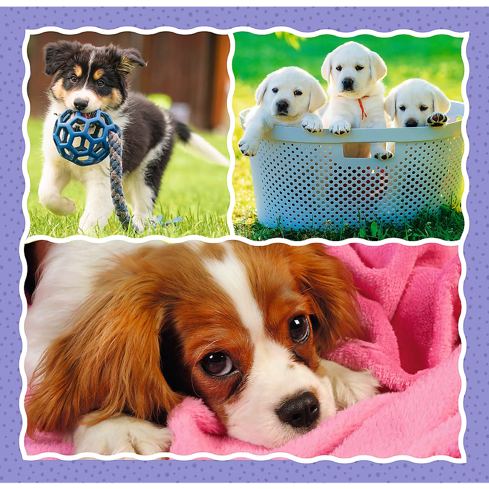trefl-red-adorables-chiens-puzzle-3-en-1-20-50-pi-ces image 5