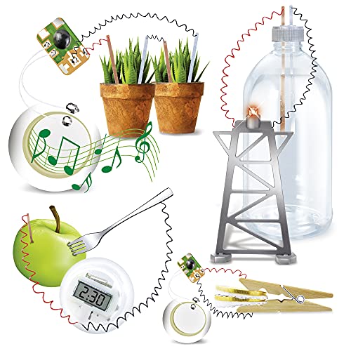explora-exp-rience-scientifique-eco-energie-kit-batterie-naturelle image 7