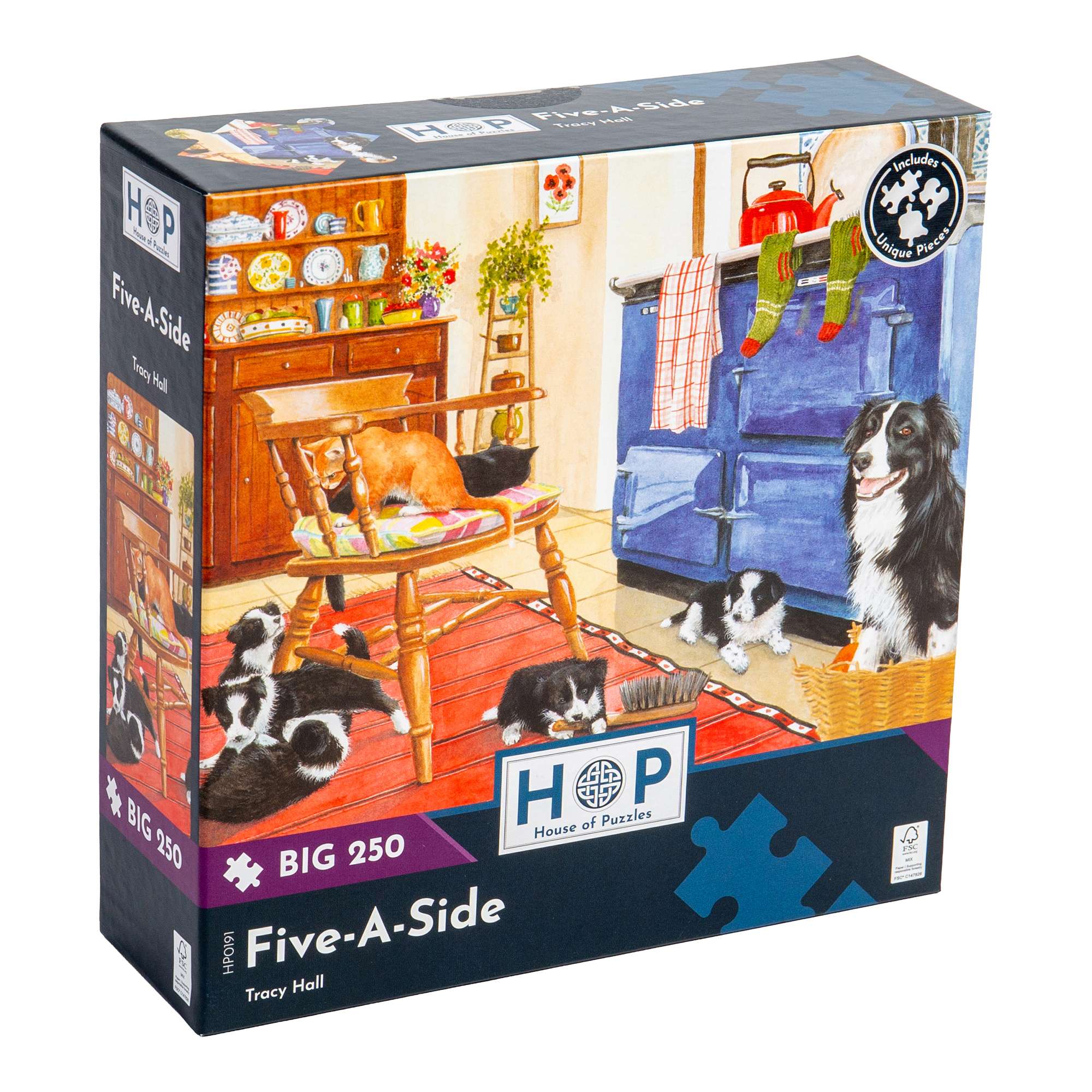 house-of-puzzles-five-a-side-puzzle-big-250-pi-ces-foot image 1