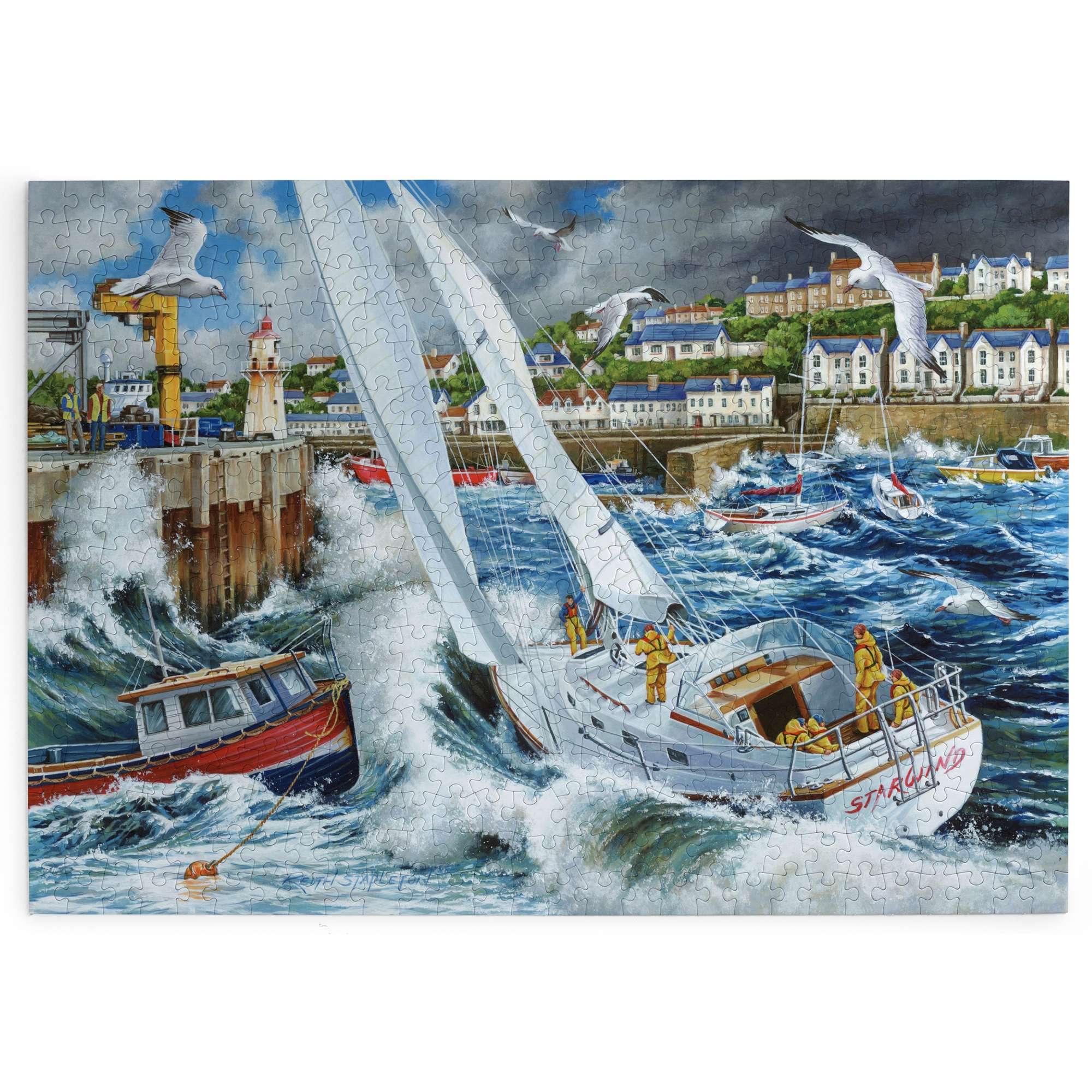 house-of-puzzles-storm-chased-500-puzzle-500-pi-ces-mer image 2