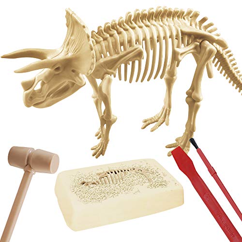 explora-kit-de-d-couverte-pl-tre-creuser-tric-ratops-squelette image 7