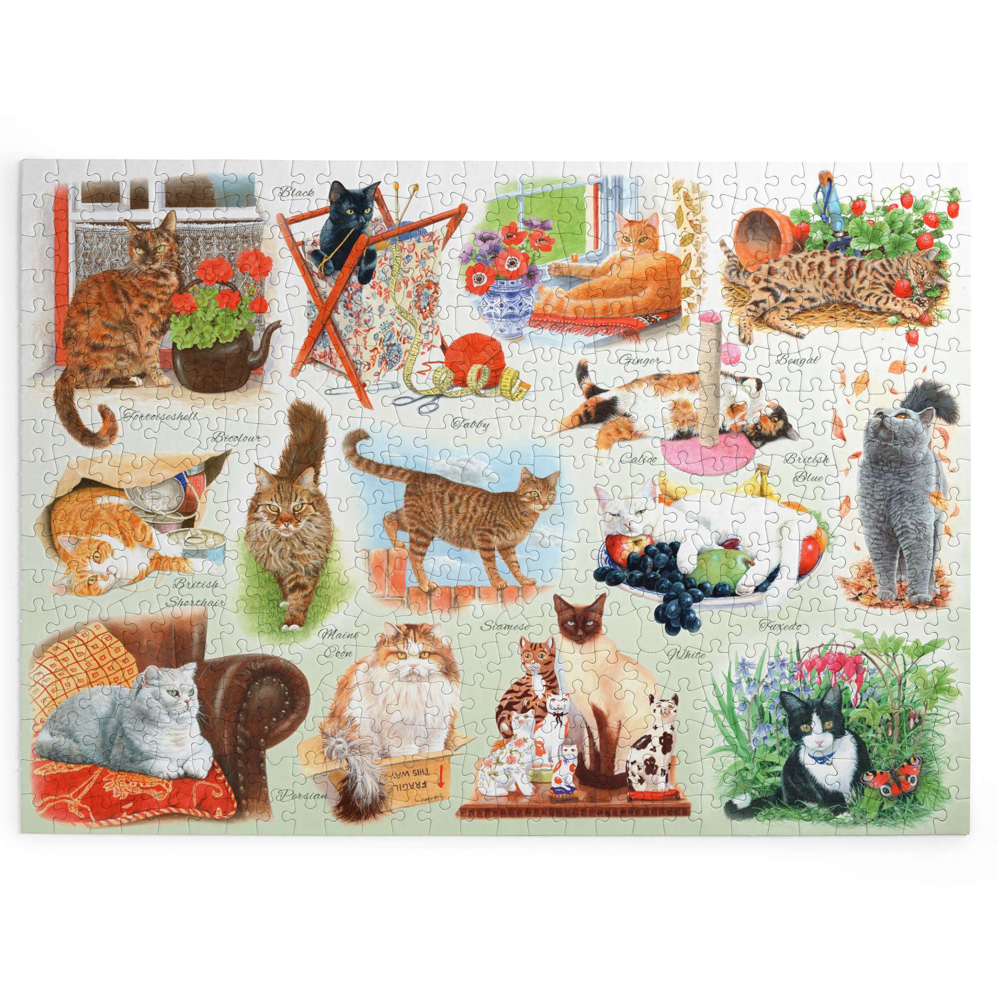 house-of-puzzles-a-clowder-of-cats-puzzle-big-500-pi-ces-chats image 2