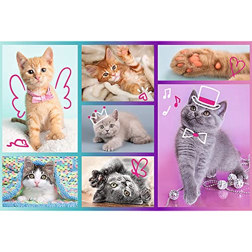 trefl-red-chatons-mignons-puzzle-60-pi-ces-chats image 8
