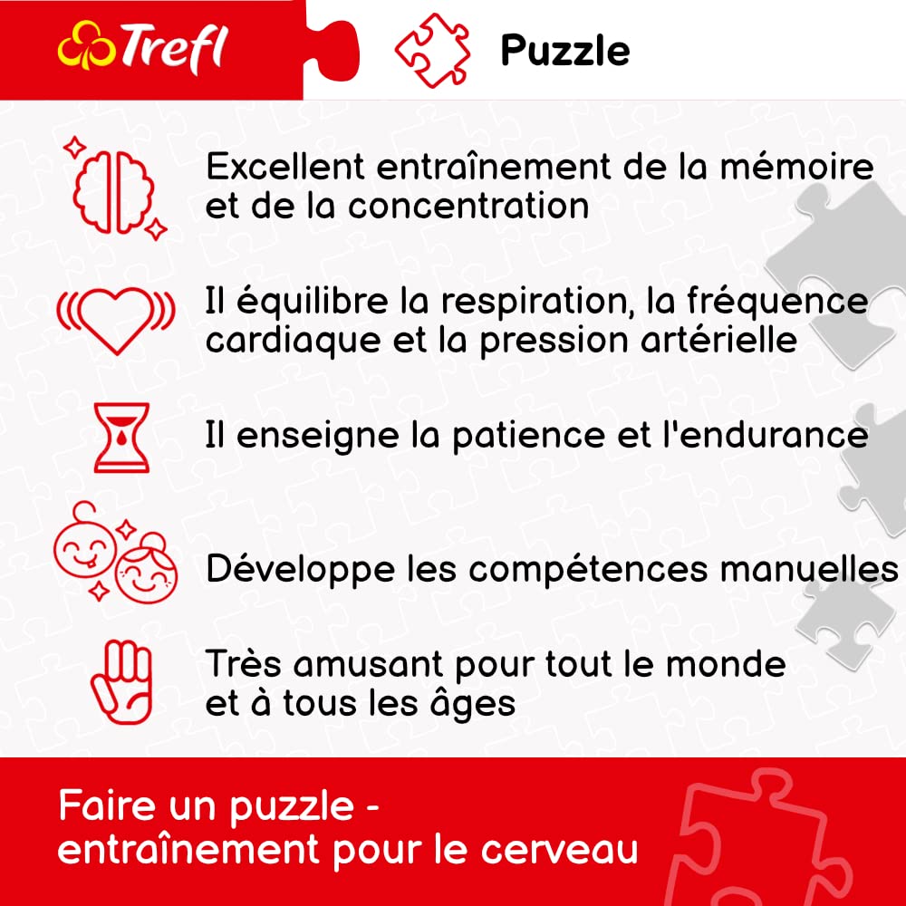 trefl-premium-plus-carte-de-la-terre-1630-puzzle-2000-pi-ces image 3