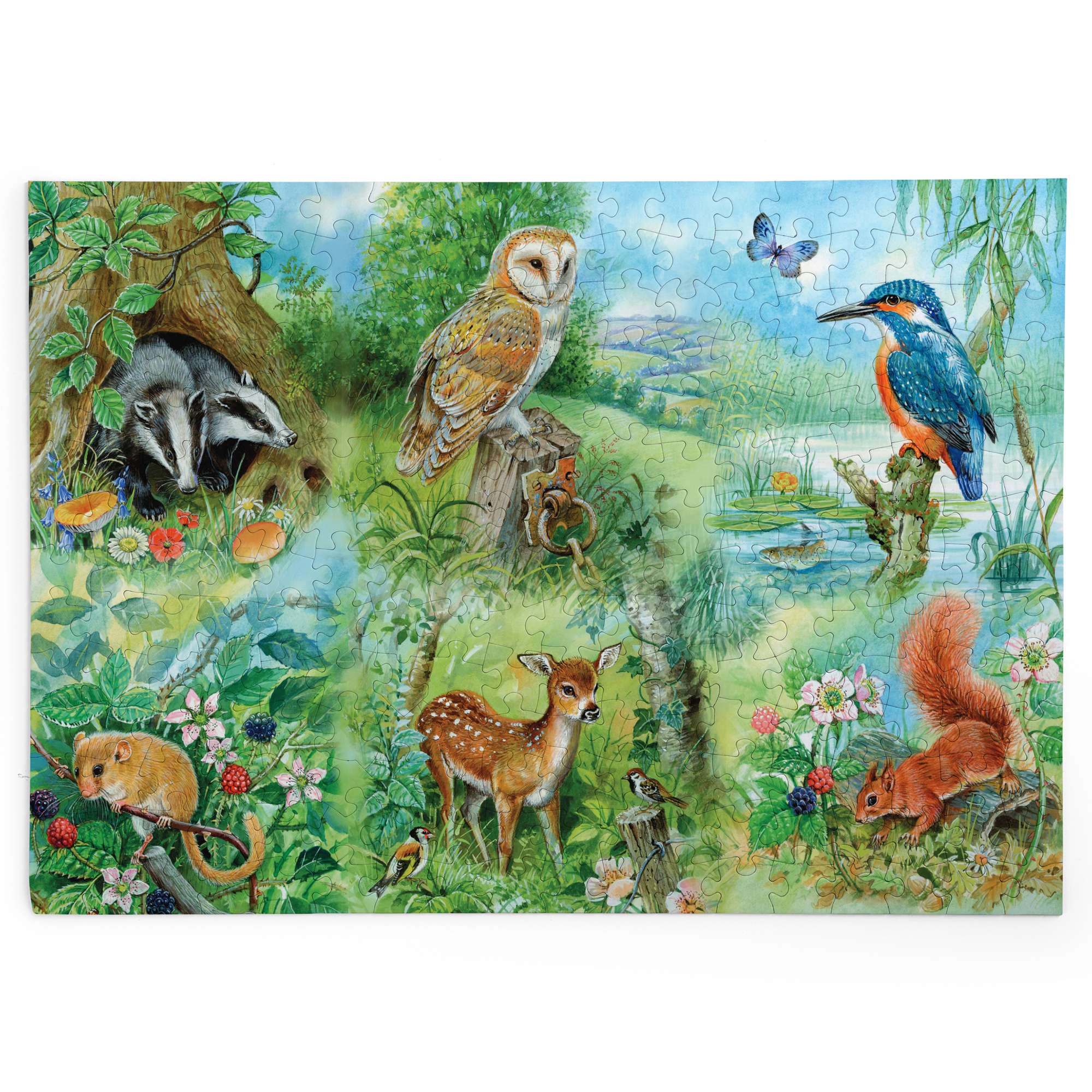 house-of-puzzles-big-250-nature-study-puzzle-250-pi-ces-animaux image 2