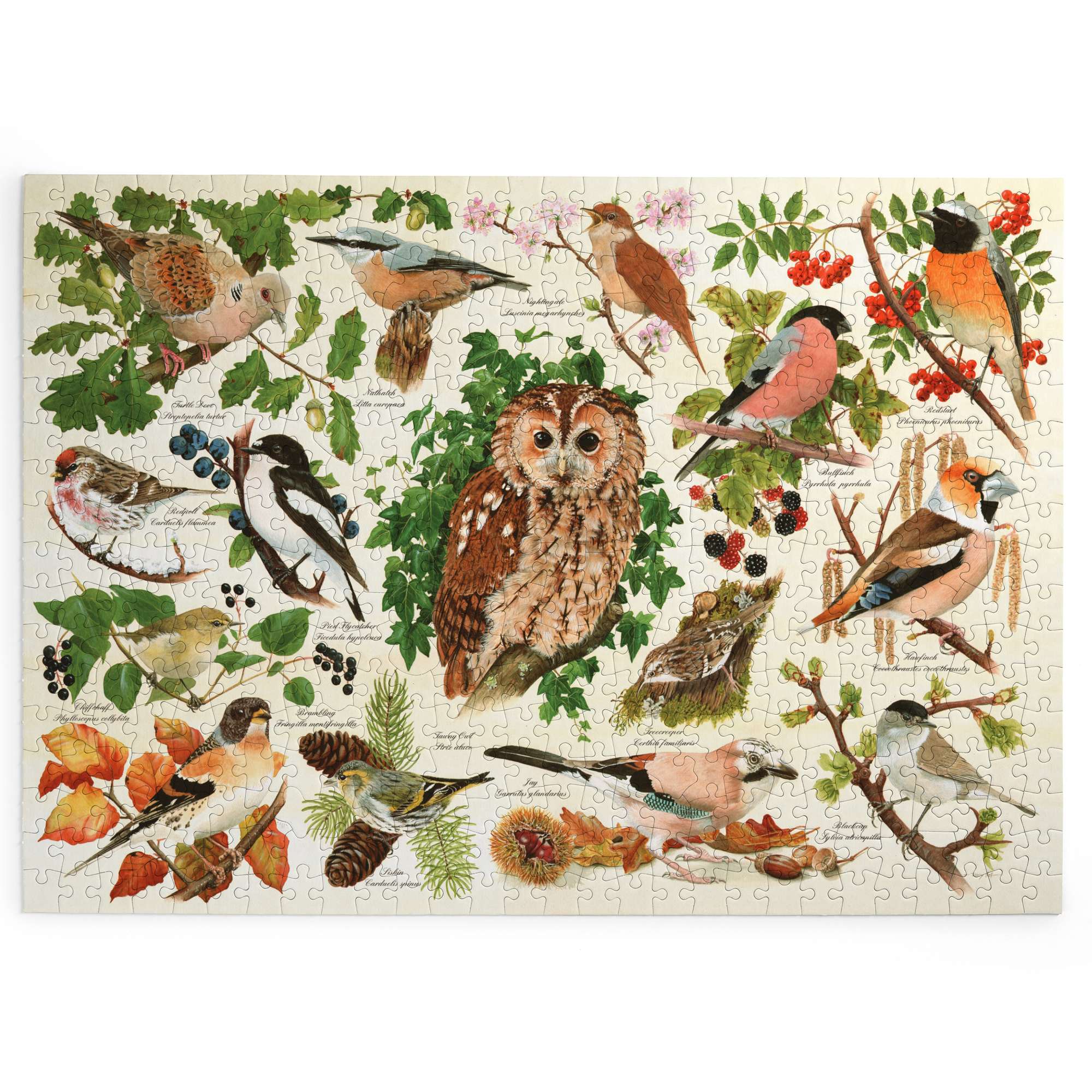 house-of-puzzles-woodland-birds-puzzle-big-500-oiseaux image 2