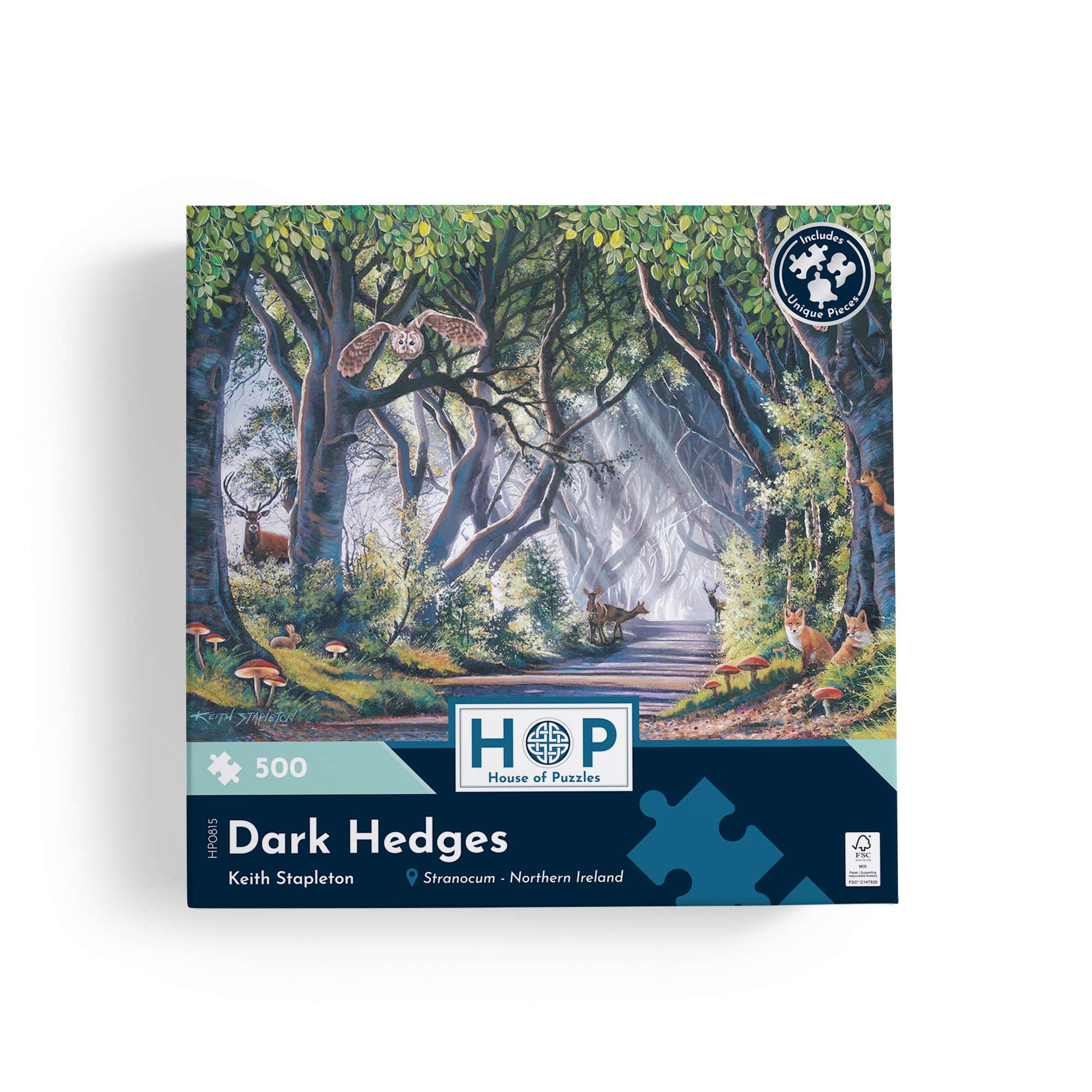 house-of-puzzles-500-puzzle-500-pi-ces-dark-hedges-nuit image 4