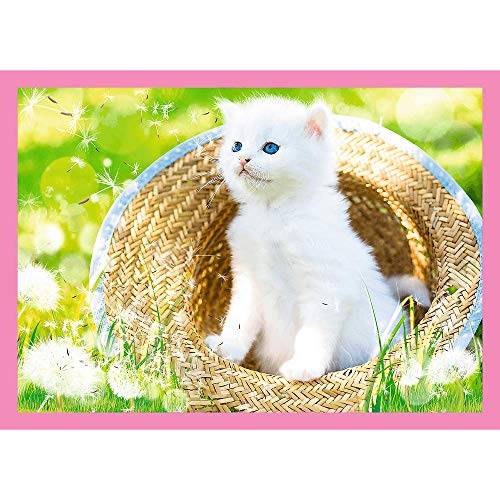 trefl-chats-puzzle-enfant-4-en-1-de-35-70-pi-ces image 8