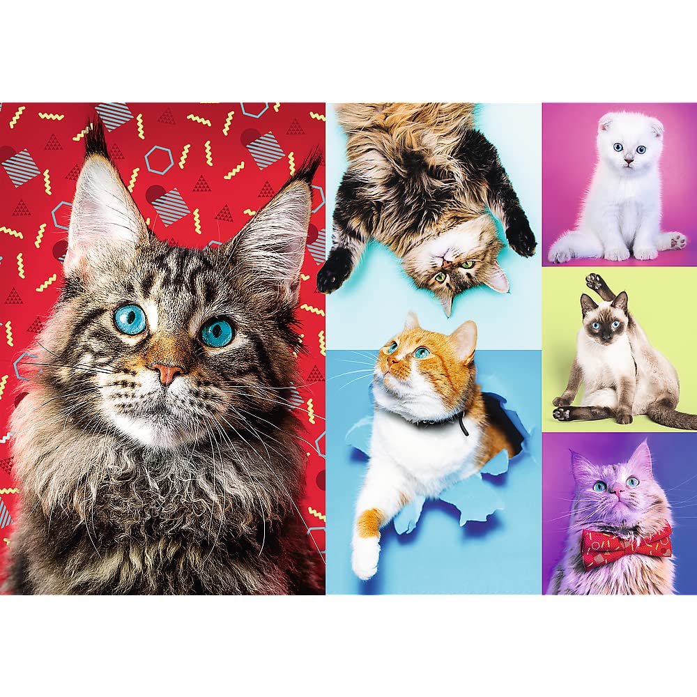 trefl-red-chats-joyeux-puzzle-1000-pi-ces-adulte image 2